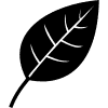 noun-leaf-1894239 (1)