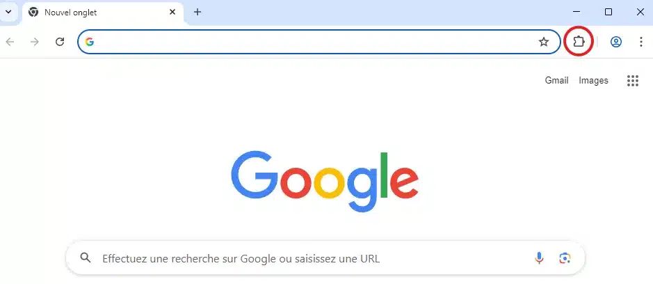 extension google